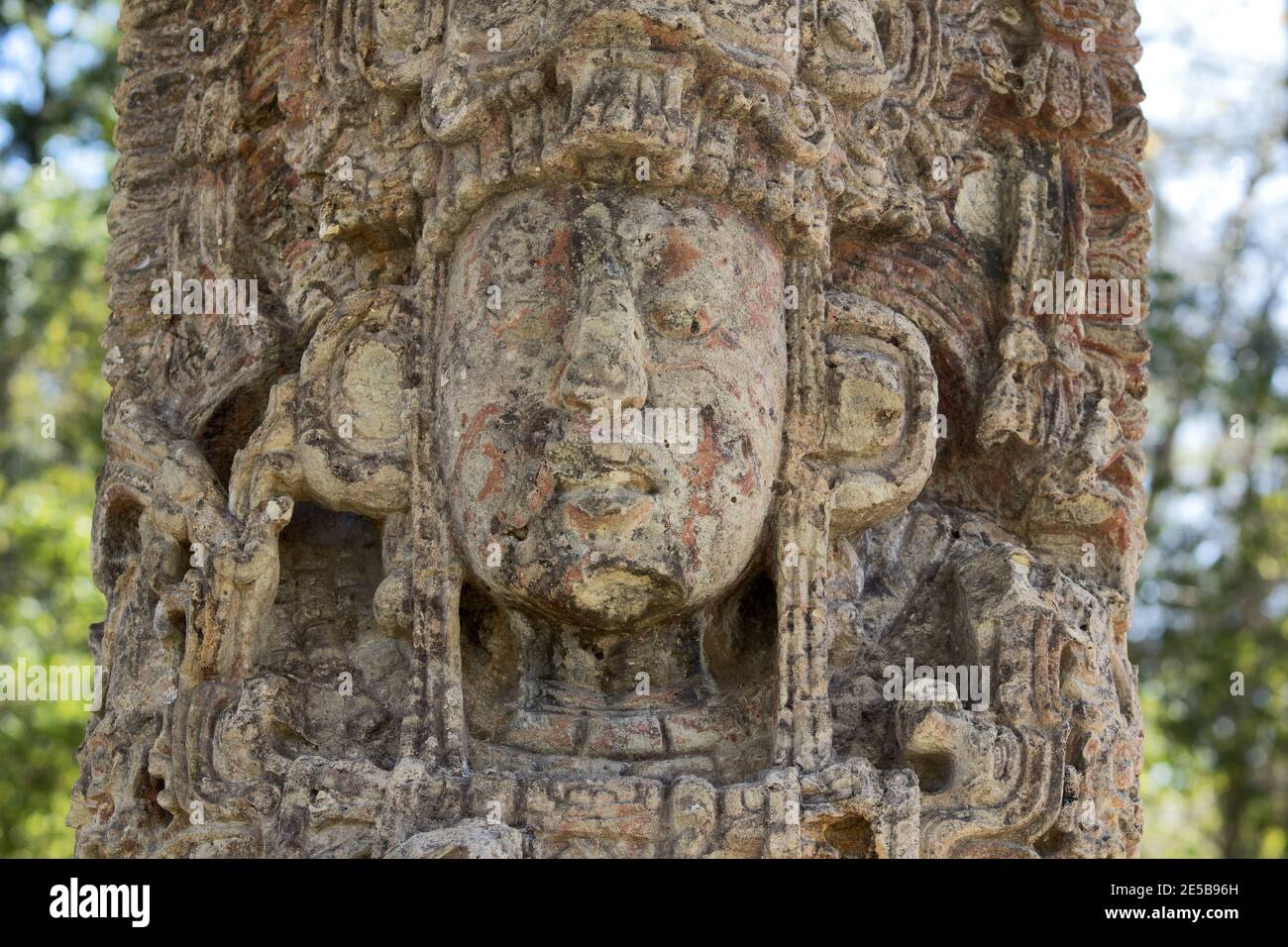 Copan, Honduras, America Centrale: Stela del governatore maya in Copan. Copan è un sito archeologico della civiltà Maya vicino al Guatemala Foto Stock