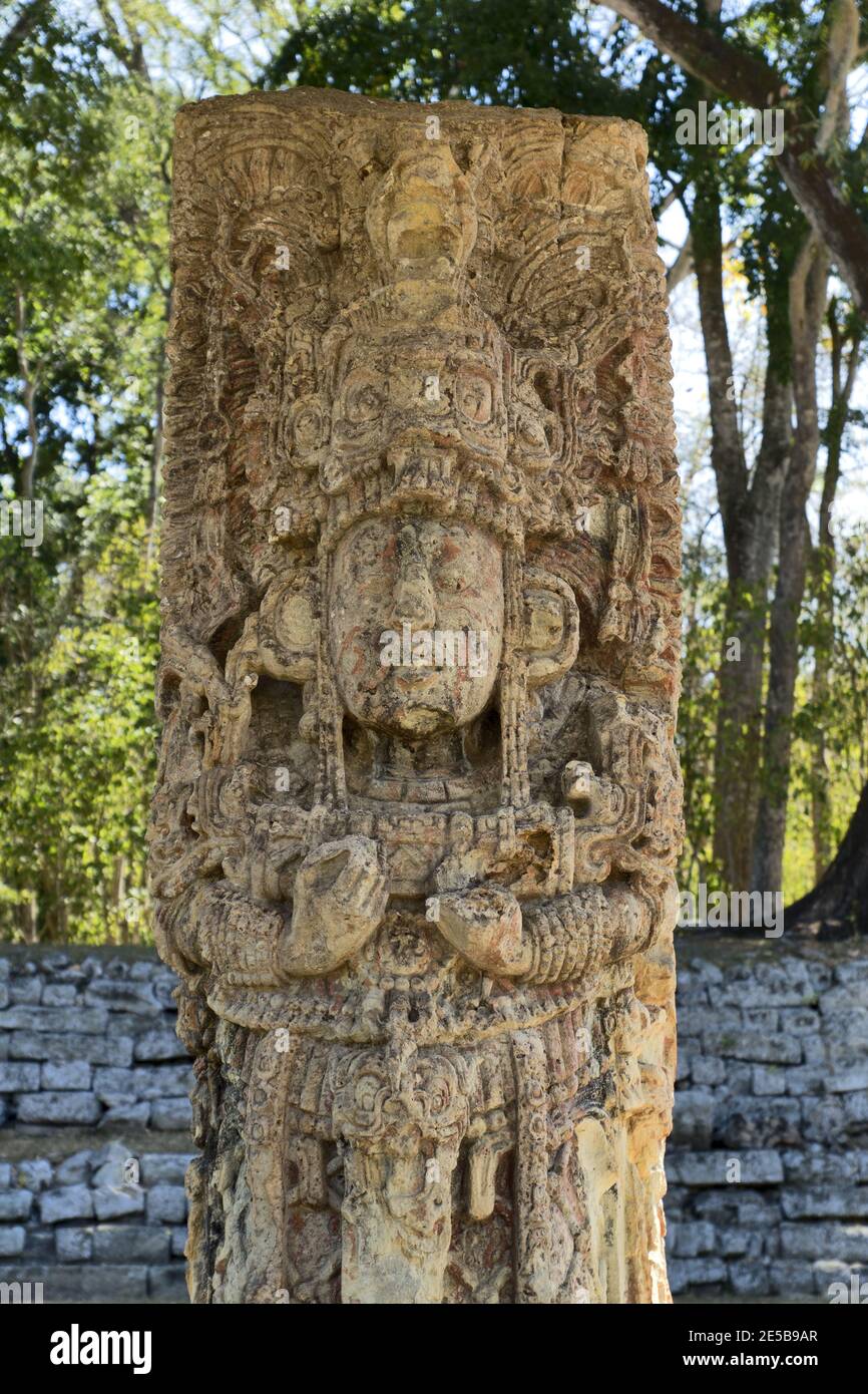 Copan, Honduras, America Centrale: Stela del governatore maya in Copan. Copan è un sito archeologico della civiltà Maya vicino al Guatemala Foto Stock