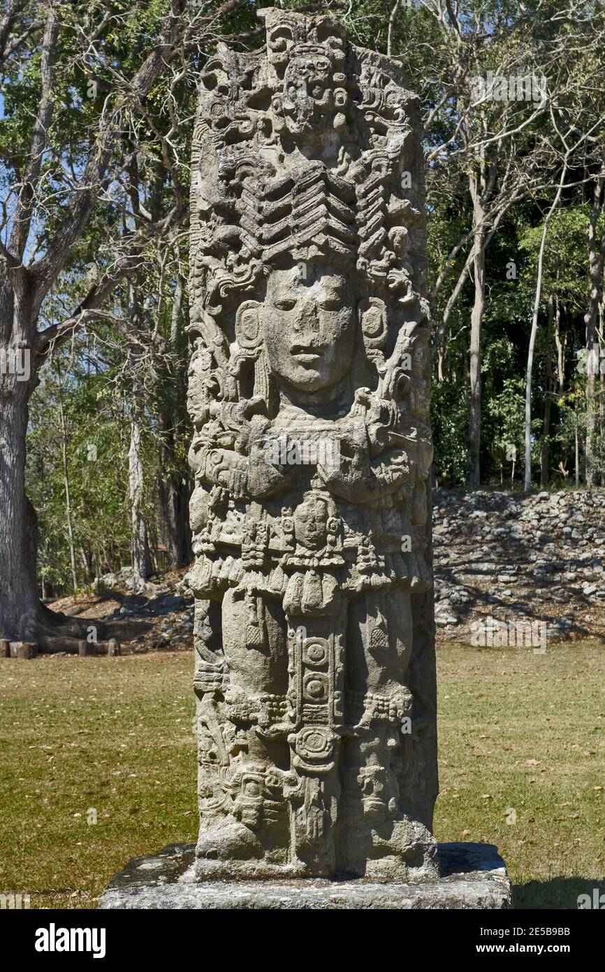 Copan, Honduras, America Centrale: Stela del governatore maya in Copan. Copan è un sito archeologico della civiltà Maya vicino al Guatemala Foto Stock