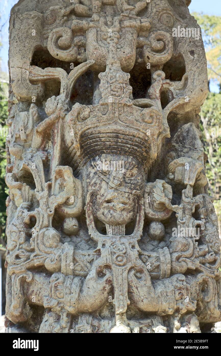 Copan, Honduras, America Centrale: Stela del governatore maya in Copan. Copan è un sito archeologico della civiltà Maya vicino al Guatemala Foto Stock