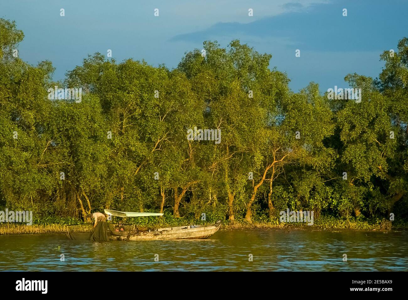 Pesca nel delta del Mekong con reti. Foto Stock