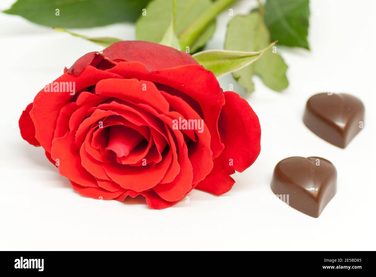 rosa rossa e varie forme di cioccolato su bianco fondo amore il concetto di giorno di san valentino romantico Foto Stock