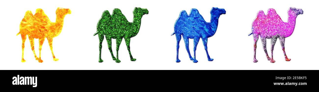 Set di colorati cammelli con glitter isolati su sfondo bianco Foto Stock