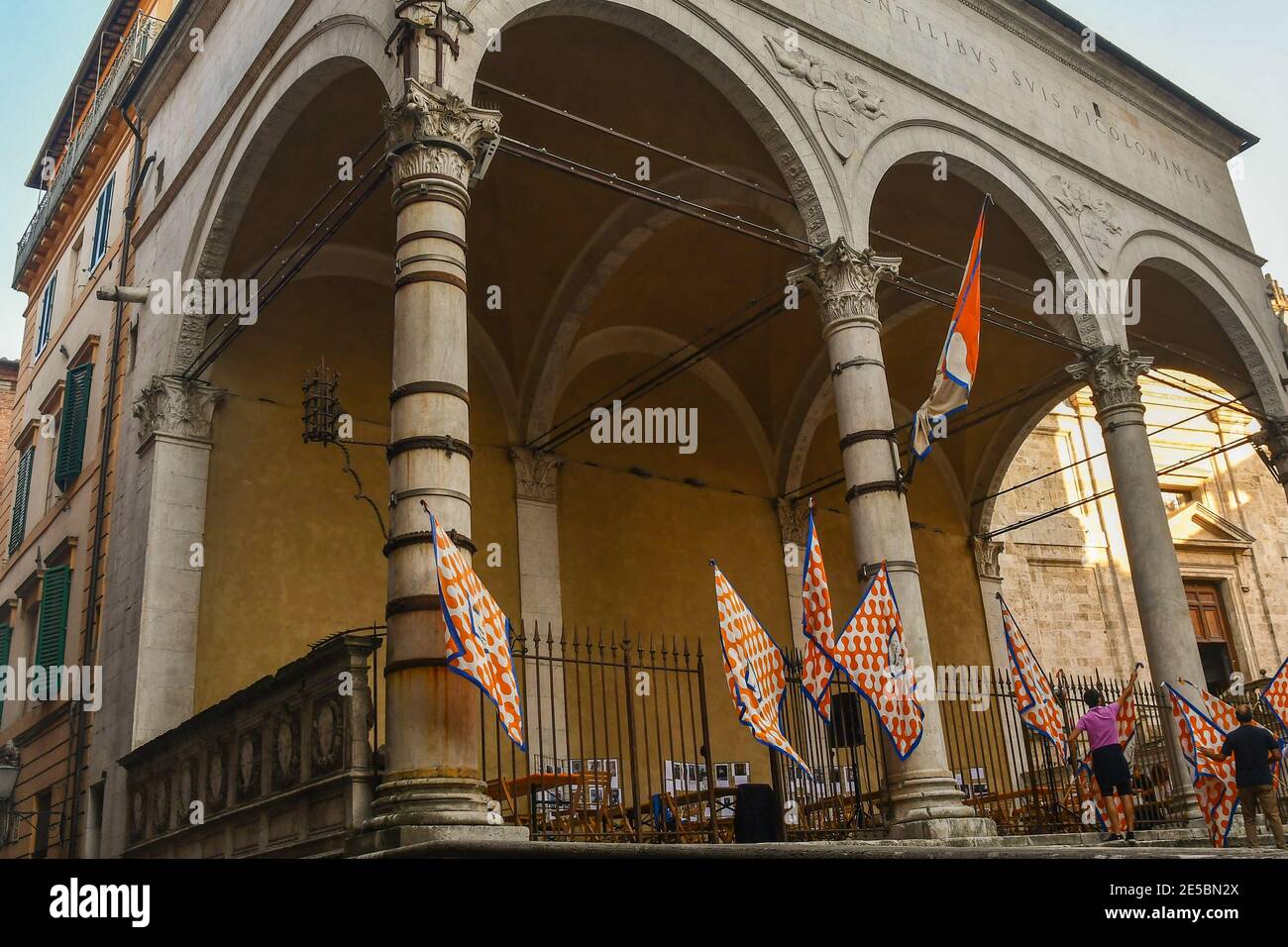 Featured image of post Leocorno Immagini