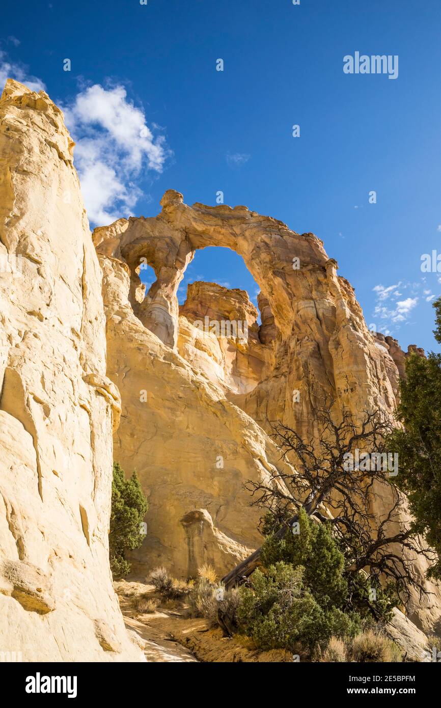 Grosvenor Arch, Grand Staircase-Escalante monumento nazionale, Utah, Stati Uniti d'America. Foto Stock