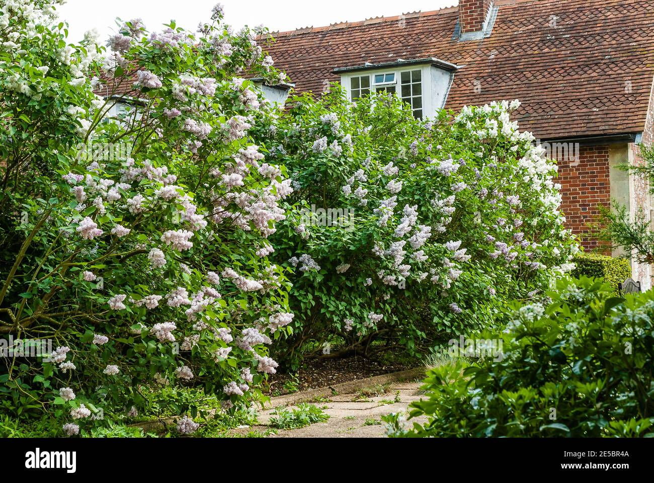 Hinton Ampner, proprietà del National Trust dell'Hampshire. Foto Stock