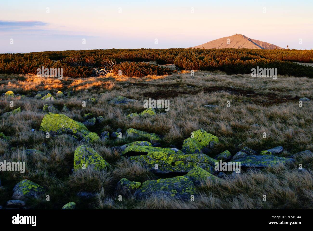 Vista serale del monte Snezka - in cima al parco nazionale Monti Giganti di Krkonose - Repubblica Ceca Foto Stock