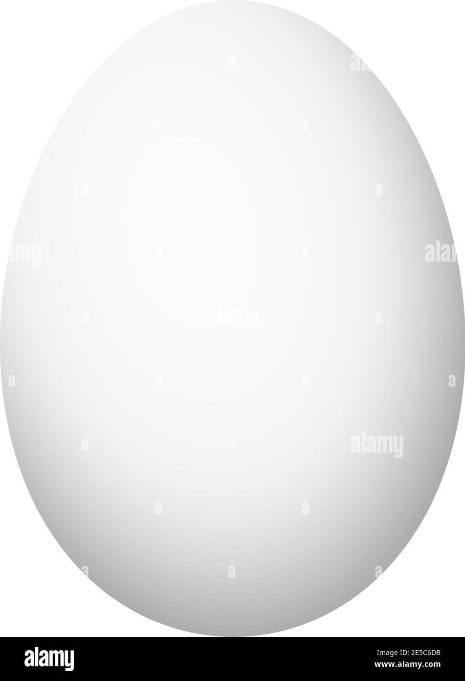 Uovo bianco su sfondo bianco isolato UNA corretta illustrazione di uovo bianco progettato. Illustrazione Vettoriale