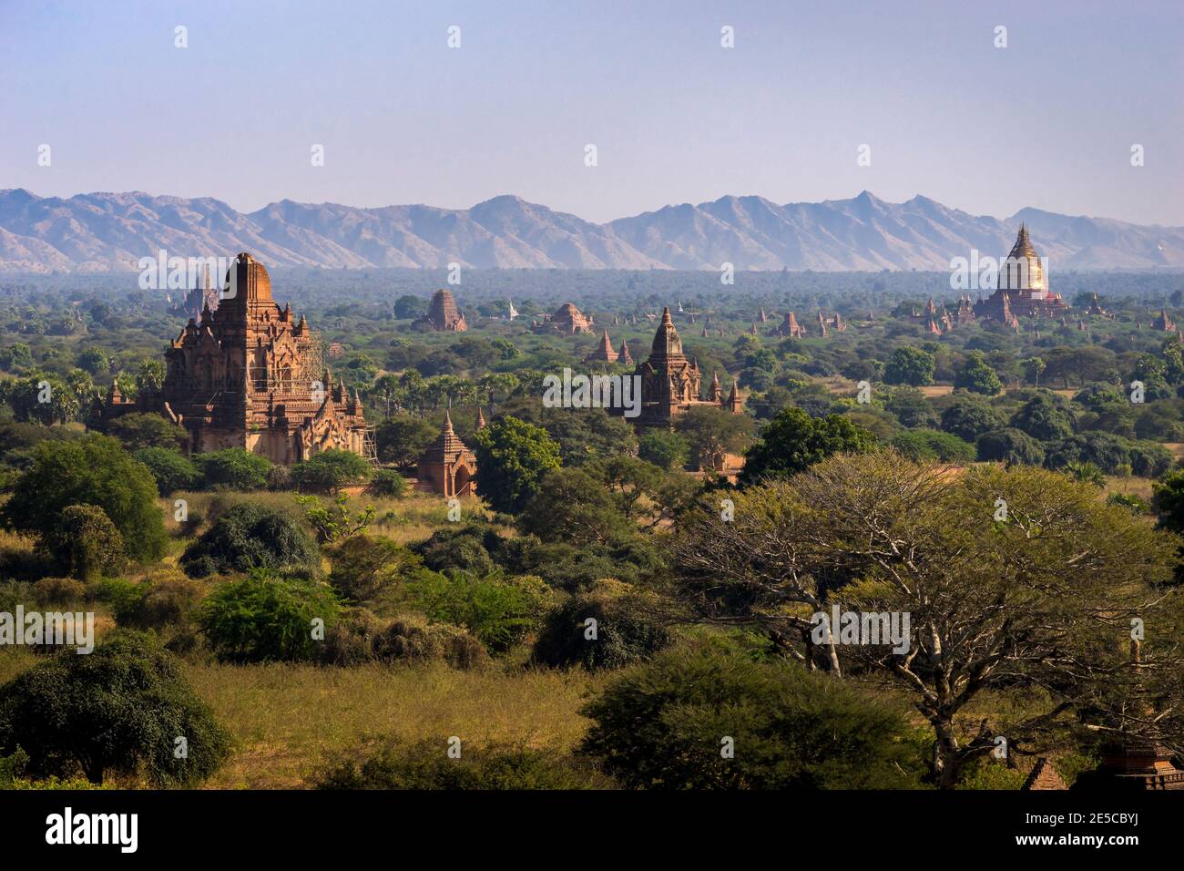 Vista ad alto angolo di antichi templi di Bagan, Bagan, Mandalay Dis Foto Stock