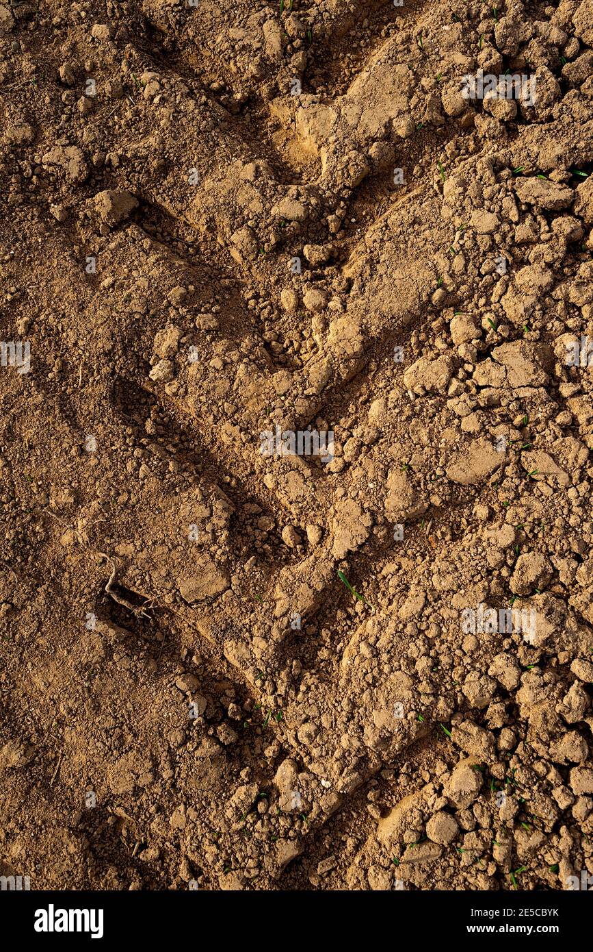Contrassegno della ruota del trattore sulla sabbia. Contrassegno del battistrada della ruota su una strada sterrata. Foto Stock