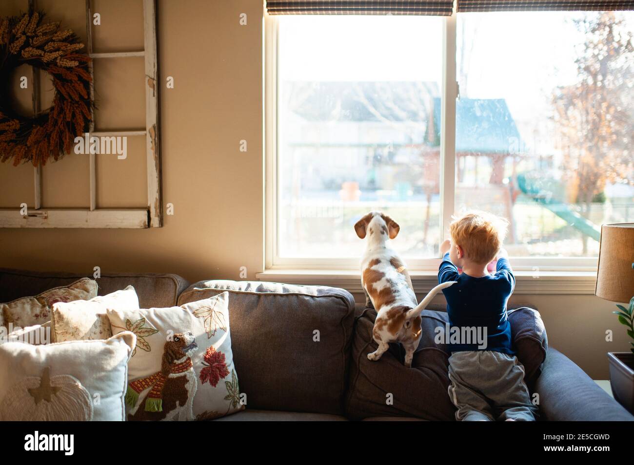 Ragazzo e cane Dachshund seduti sul divano e guardando fuori finestra Foto Stock