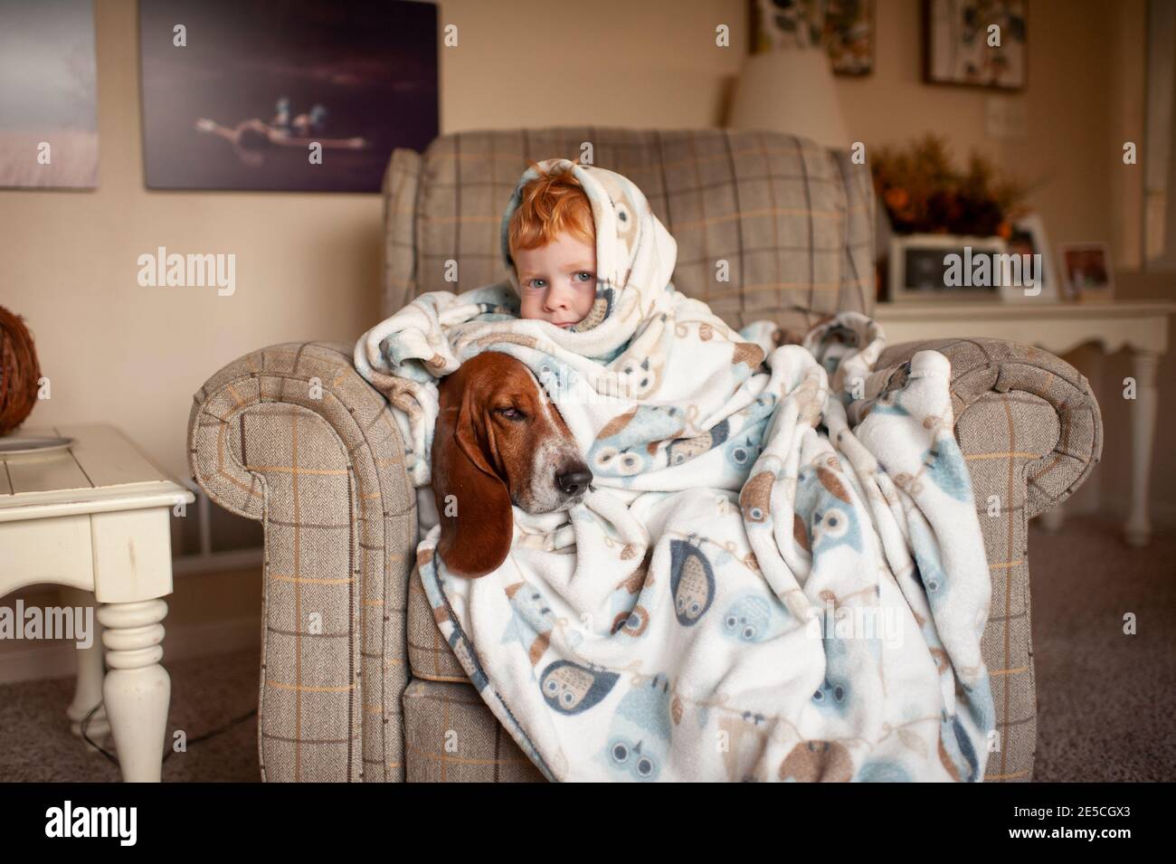 Ragazzo 3-4 anni cucci con cane in grande coperta seduto in sedia Foto Stock