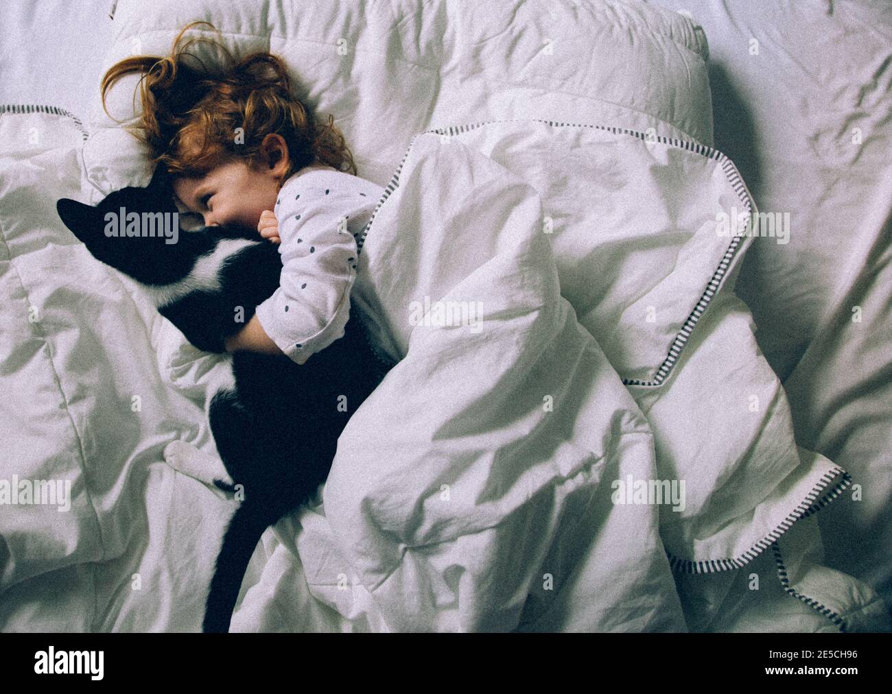 Ragazza che gioca con gatto in un letto Foto Stock