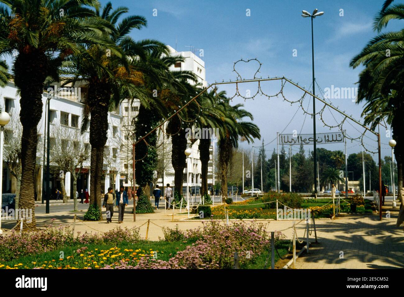 Fez Marocco Ville Nouvelle Park Foto Stock