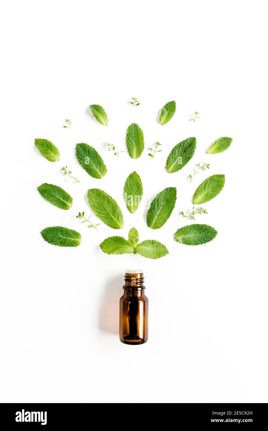 Olio essenziale e foglie di menta verde su sfondo bianco. Erbe medicinali. Disposizione piatta. Vista dall'alto. Foto Stock