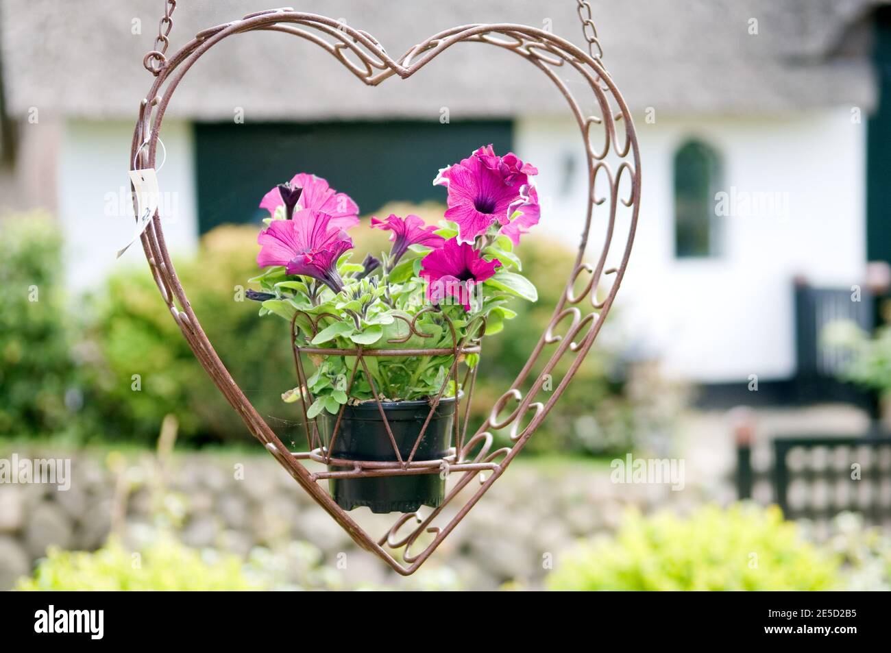 Vaso di fiori e decorazioni da giardino sull'isola di Sylt, Germania. Foto Stock