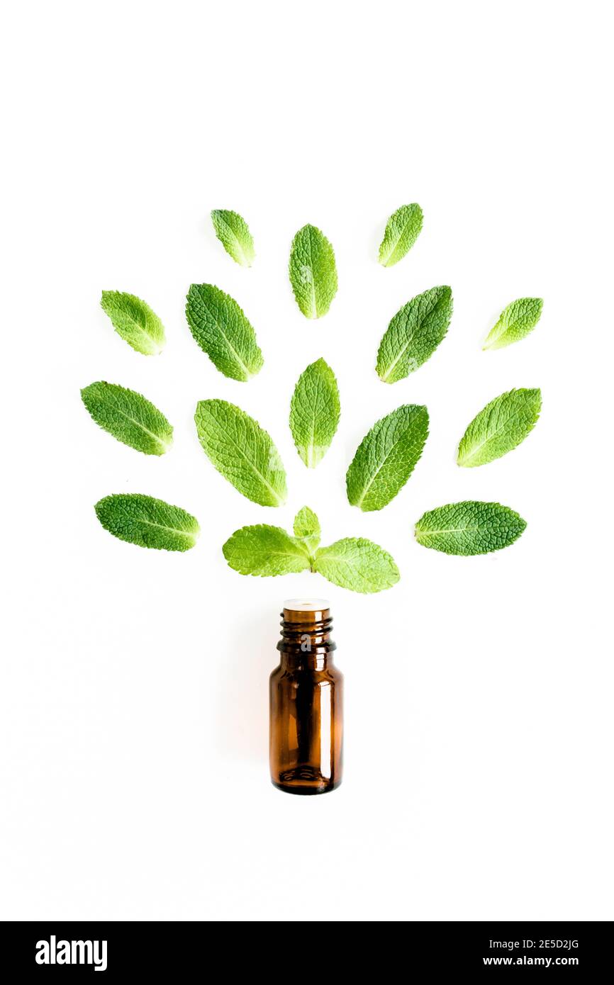 Olio essenziale e foglie di menta verde su sfondo bianco. Erbe medicinali. Disposizione piatta. Vista dall'alto. Foto Stock