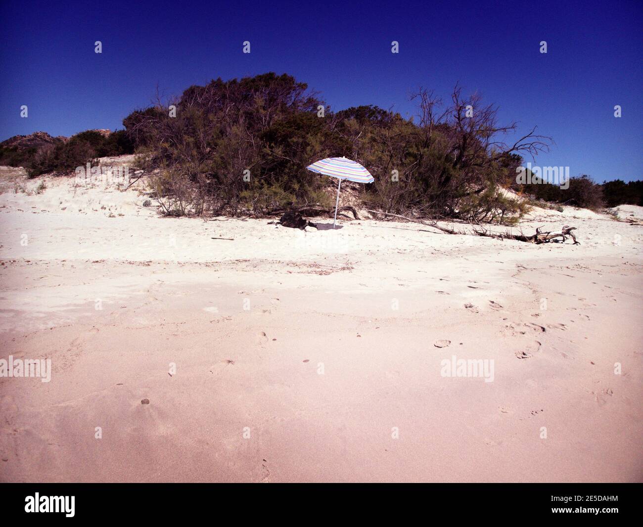 Parasol su una spiaggia di sabbia rosa, Sardegna, Italia Foto Stock