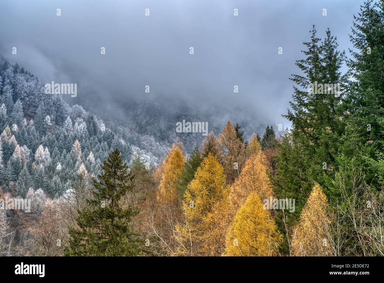 Affascinante paesaggio autunnale in prima gelata nelle Alpi svizzere. Colorata scena autunnale delle Alpi svizzere. Sfondo invernale Foto Stock