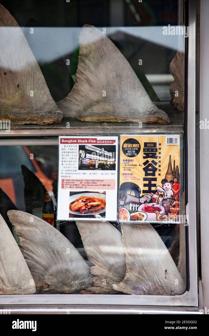 Pinne di squalo visualizzate nella finestra di un ristorante nel centro di Bangkok, Thailandia. Foto Stock
