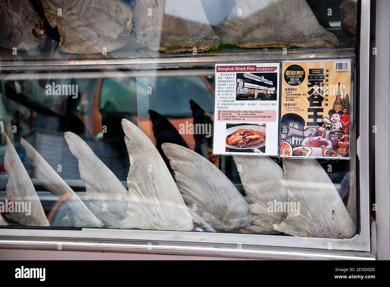 Pinne di squalo visualizzate nella finestra di un ristorante nel centro di Bangkok, Thailandia. Foto Stock