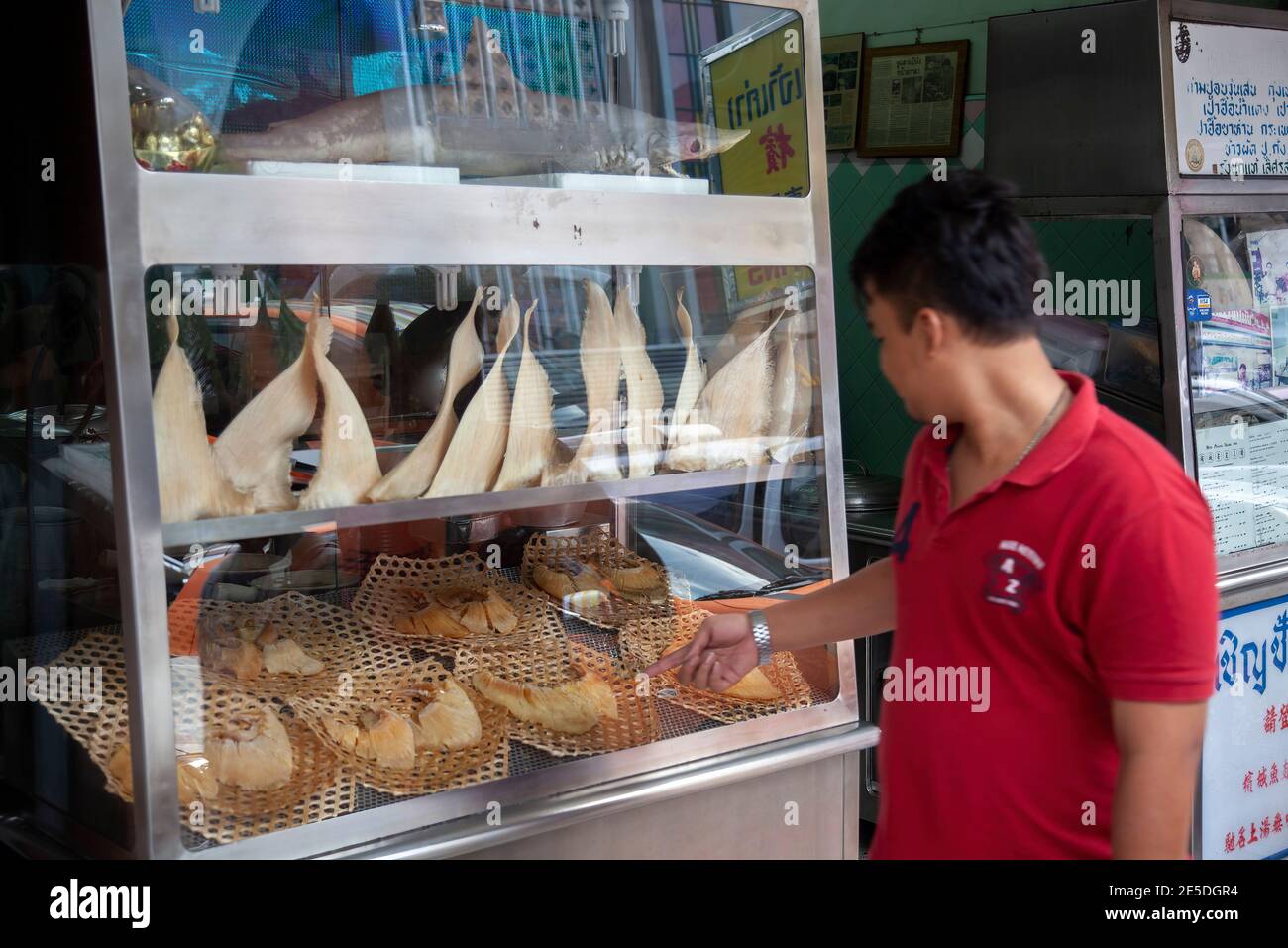 Pinne di squalo visualizzate nella finestra di un ristorante nel centro di Bangkok, Thailandia. Foto Stock