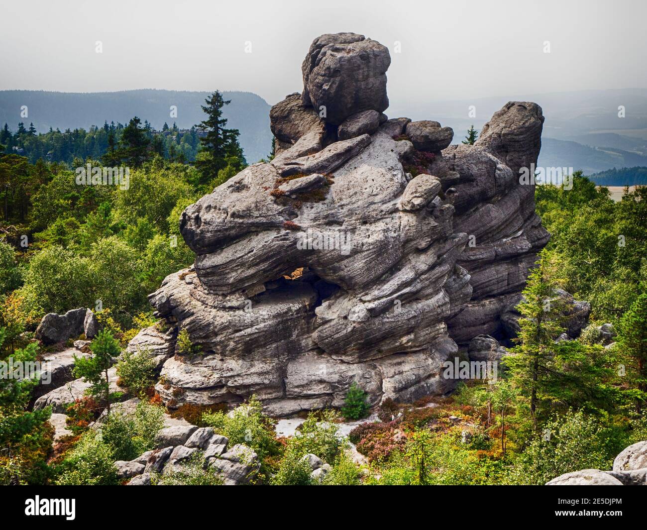 Formazione rocciosa della testa del drago, Stolowe Mountains National Park, Polonia Foto Stock