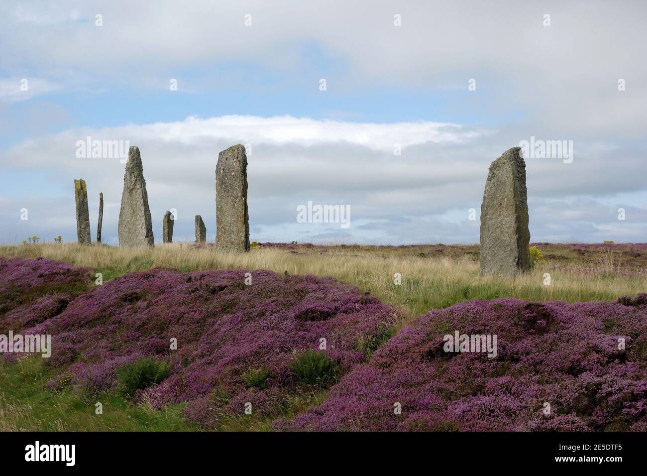 Anello di Brodgar Orkney Islands UK Foto Stock