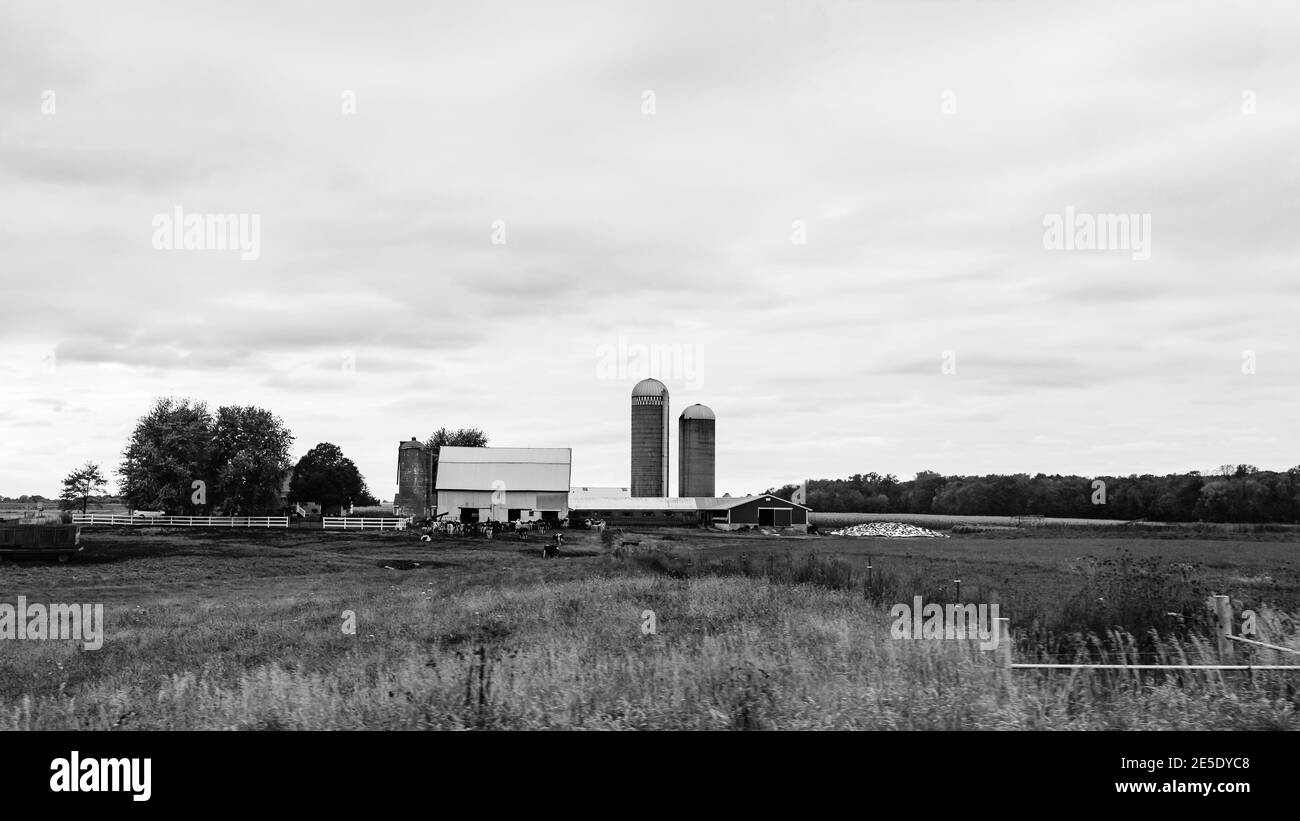 Un ambiente agricolo di una fattoria di caseificio in Wisconsin rurale campagna Foto Stock