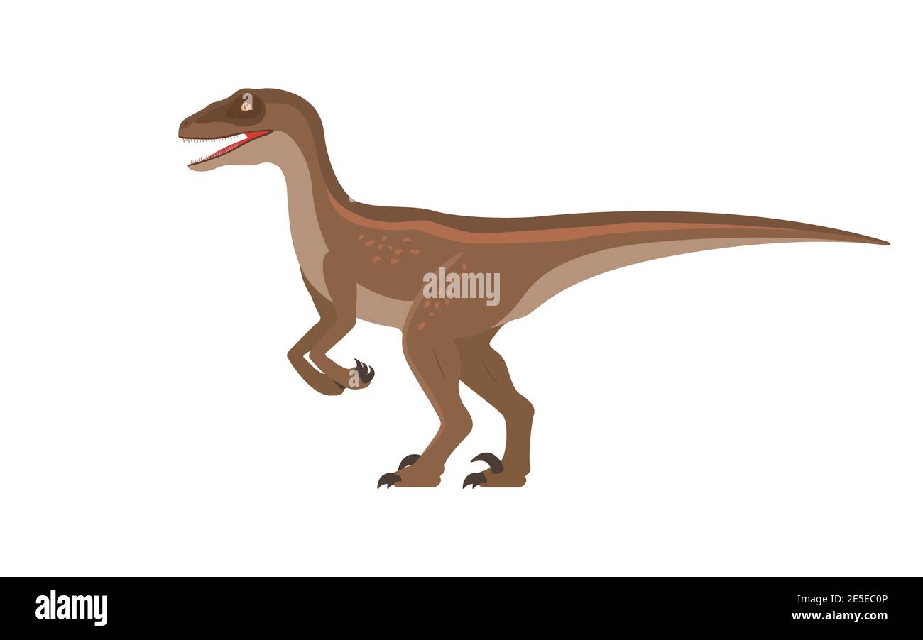 Dinosauro Velociraptor. Illustrazione vettoriale di un dinosauro preistorico velociraptor isolato su sfondo bianco. Vista laterale, profilo. Illustrazione Vettoriale