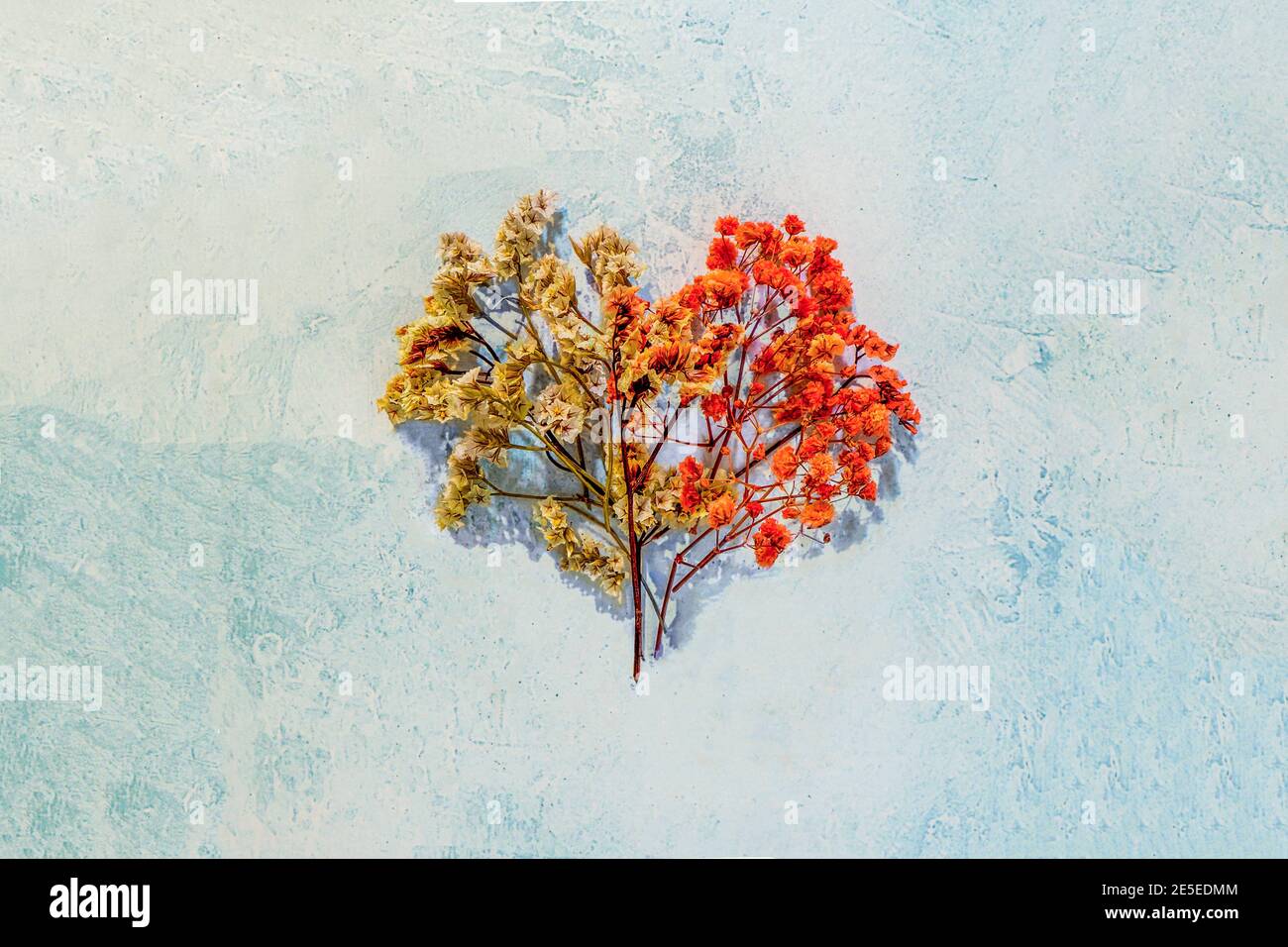 Due metà completando un cuore corrispondente. Forma del cuore fatta di fiori a due colori su uno sfondo blu chiaro. San Valentino, concetto d'amore. Tessera romantica Foto Stock