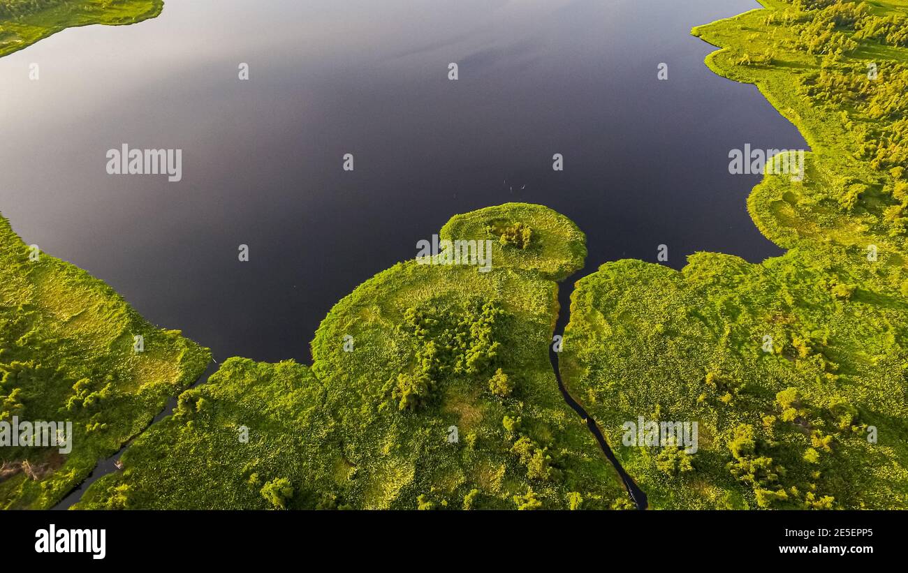 Peat Swamp Forest paesaggio con grande lago nel mezzo. Pianura Borneo centrale. Vista aerea. Foreste di paludi di torba e paludi di Borneo vista aerea. Foto Stock