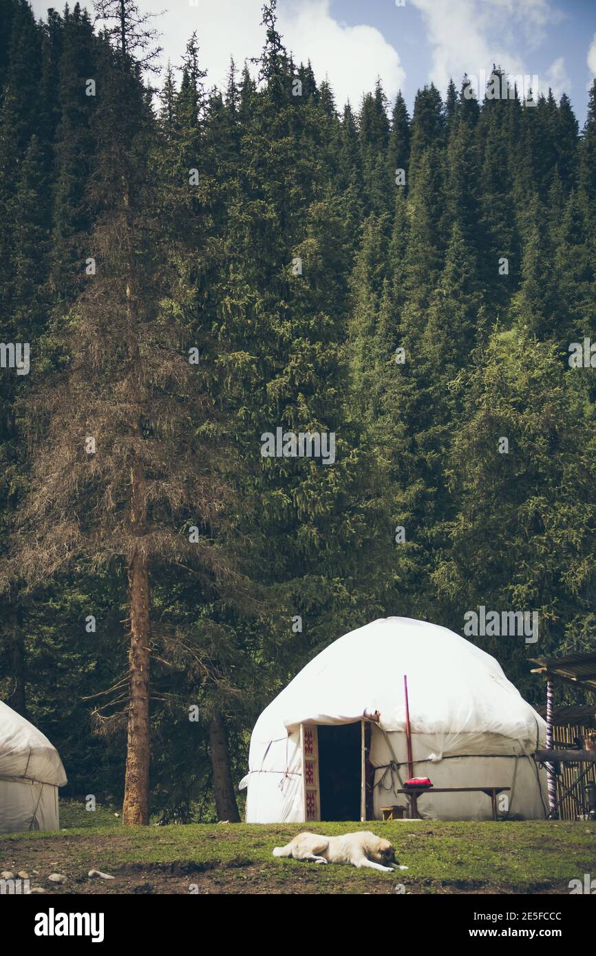 Yurt asiatico nel mezzo della foresta nel montagne Foto Stock