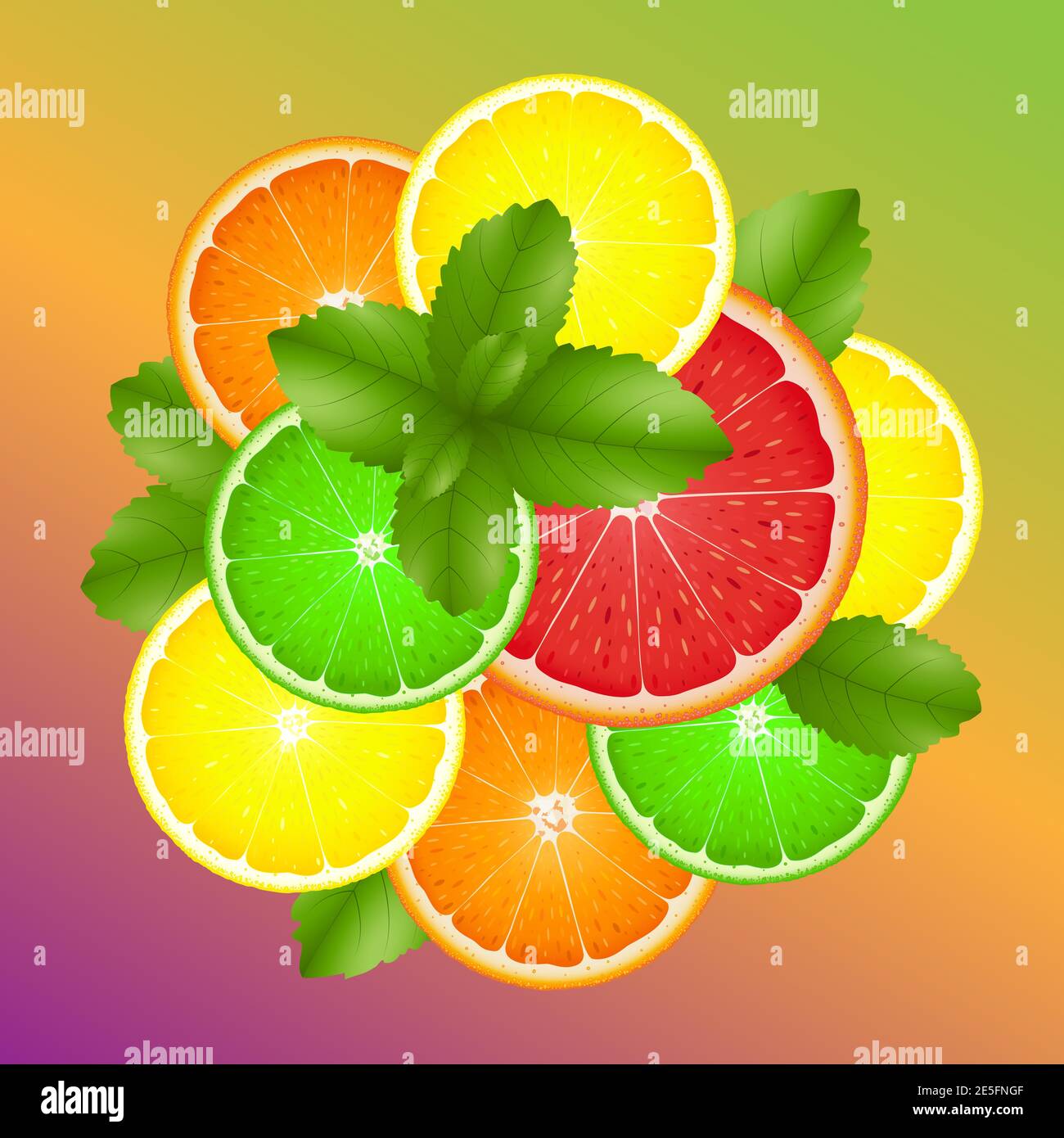 Fette di agrumi di limone, arancia, lime, pompelmo e foglie di menta su sfondo colorato. Illustrazione vettoriale Illustrazione Vettoriale