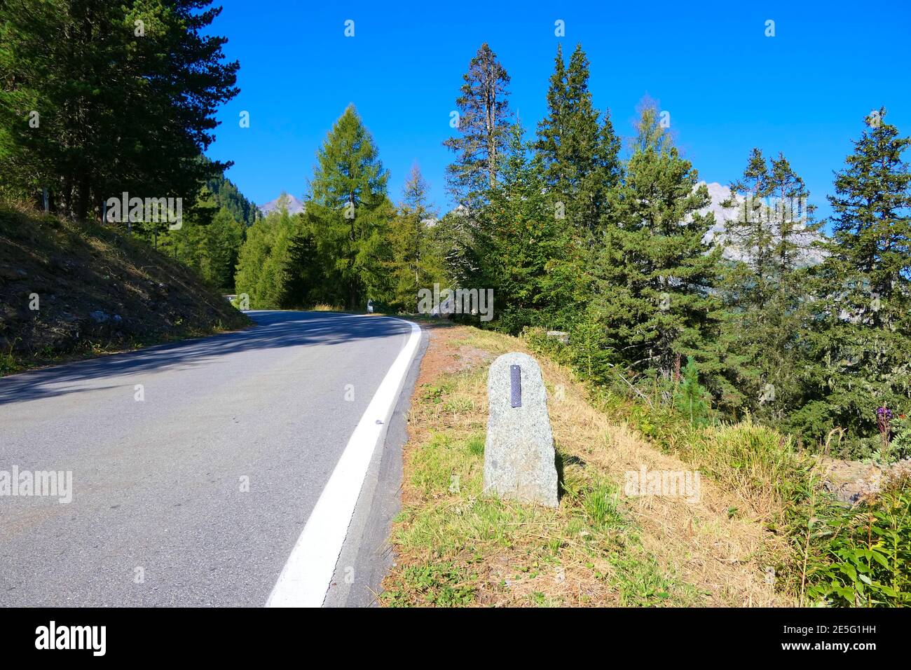 Pittoresco percorso tortuoso attraverso boschi di abeti e valli montane, con pali stradali Foto Stock