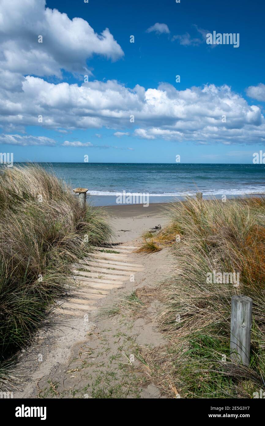 Percorso attraverso le dune per la spiaggia di Akitio, distretto di Tararua, Isola del Nord, Nuova Zelanda Foto Stock