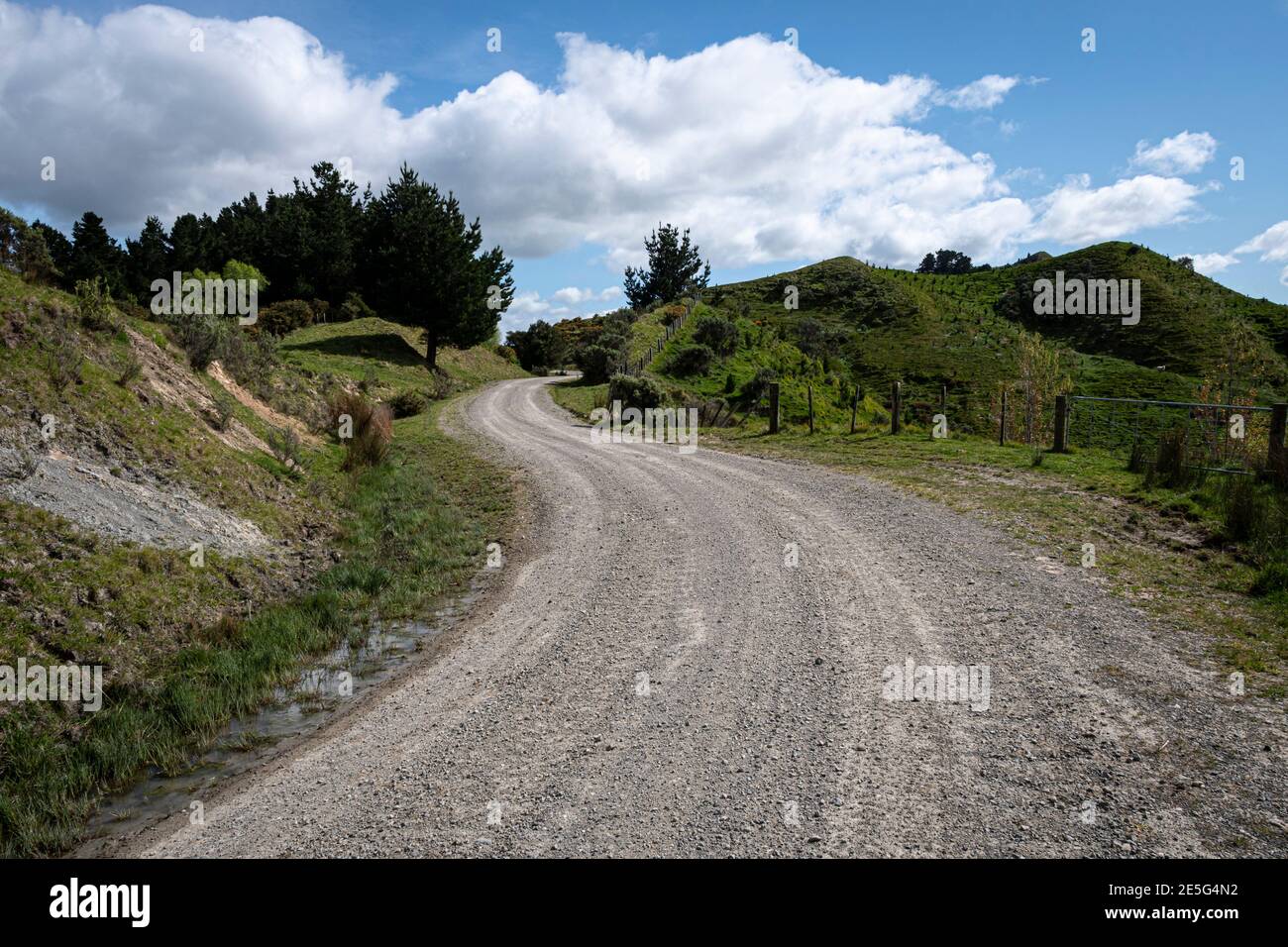 Strada di campagna vicino a Pongaroa, distretto di Tararua, Isola del Nord, Nuova Zelanda Foto Stock