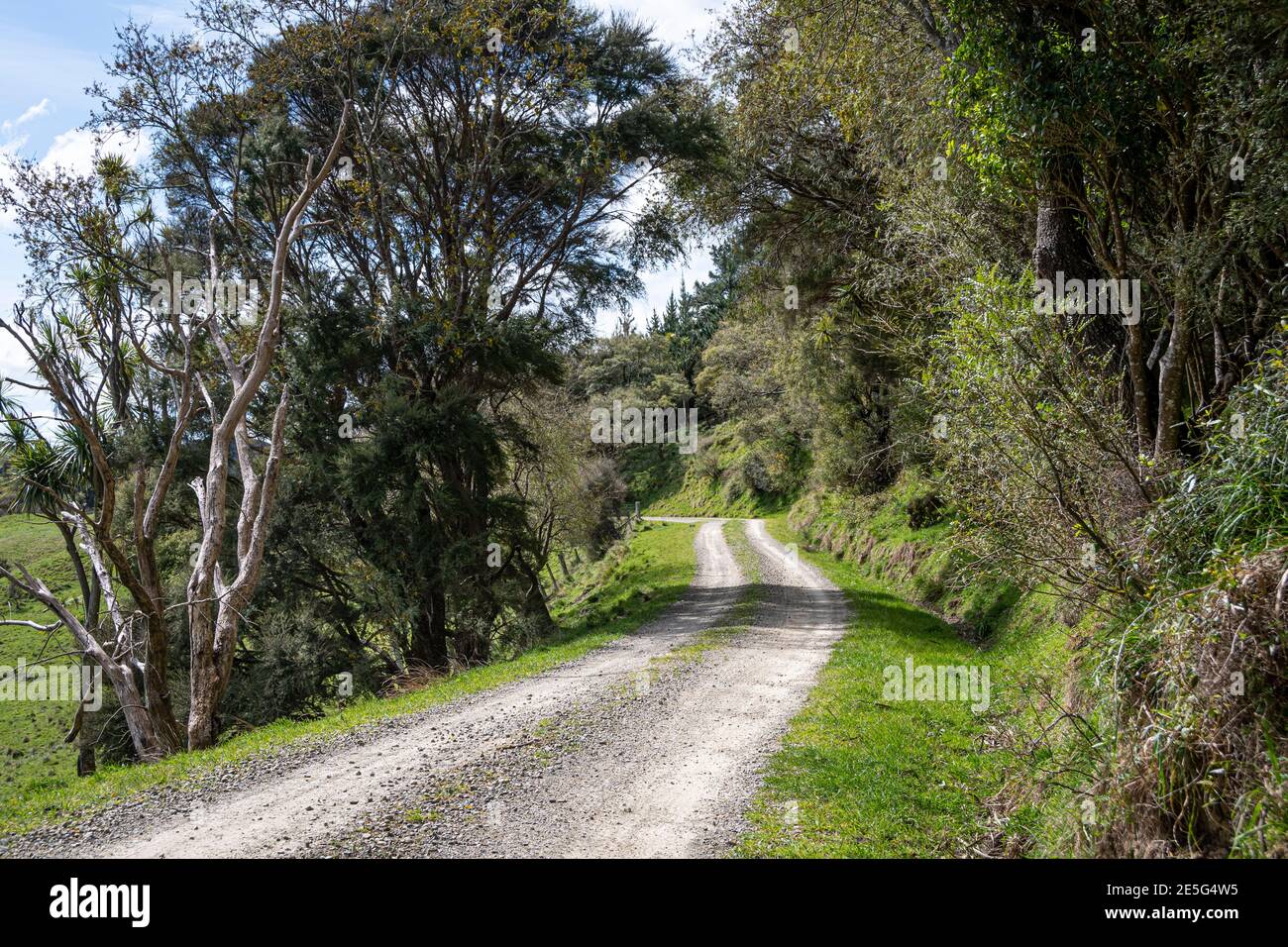 Strada di campagna vicino a Pongaroa, distretto di Tararua, Isola del Nord, Nuova Zelanda Foto Stock