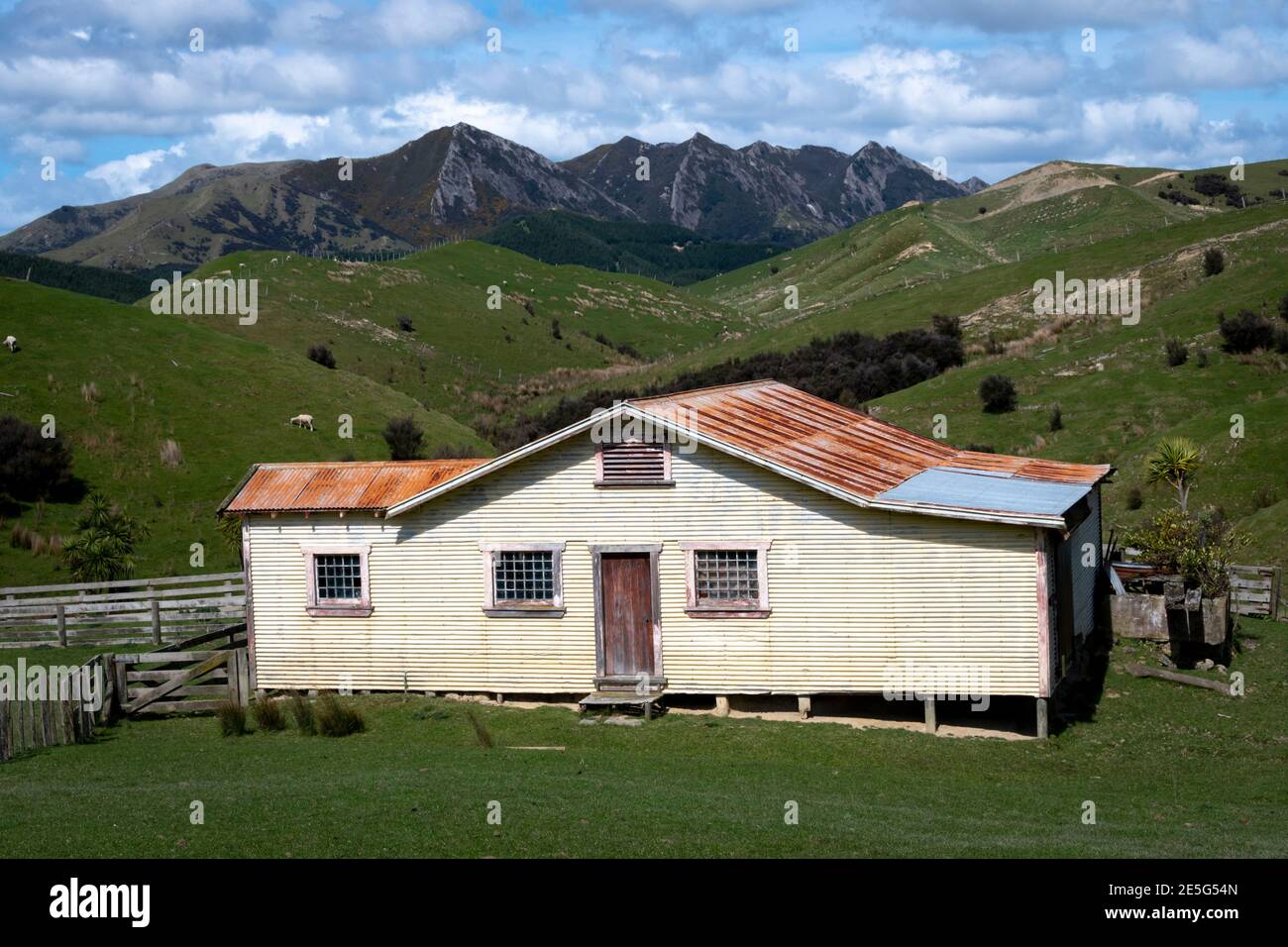 Fienile vicino a Pongaroa , Tararua District, Isola del Nord, Nuova Zelanda Foto Stock