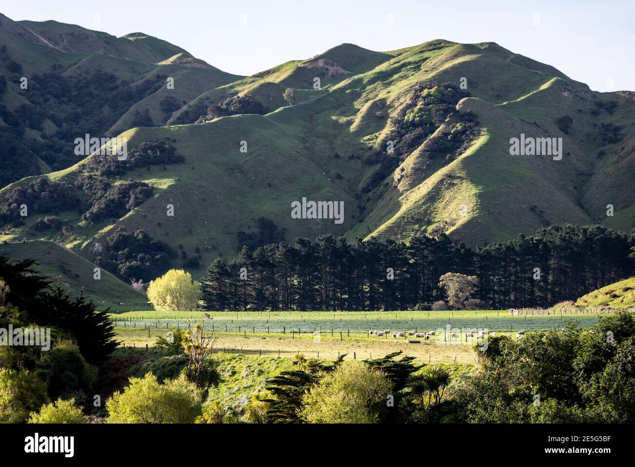 Terreni agricoli sulle colline, Akitio, Tararua District, Isola del Nord, Nuova Zelanda Foto Stock