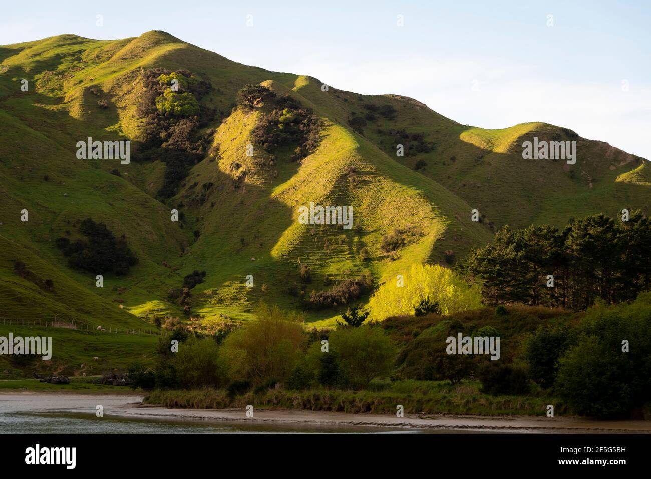 Terreni agricoli sulle colline, Akitio, Tararua District, Isola del Nord, Nuova Zelanda Foto Stock