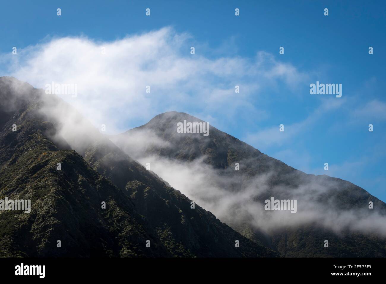Cape Palliser, Wairarapa, Isola del nord, Nuova Zelanda Foto Stock