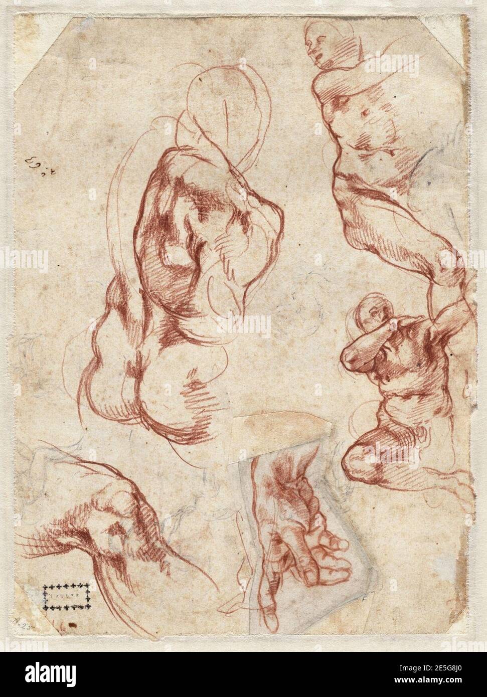 Michelangelo - Studi di figure e uno studio preparatorio per la mano di Dio per la Cappella Sistina, UN 020 verso. Foto Stock