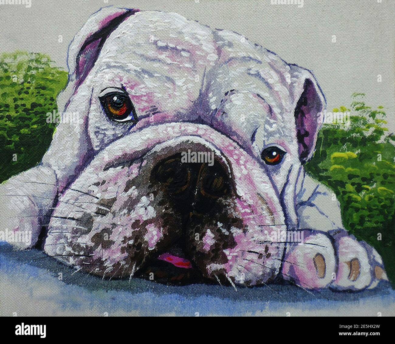 Arte, pittura, olio, colore, sorridente carino, bulldog, Thailandia Foto Stock