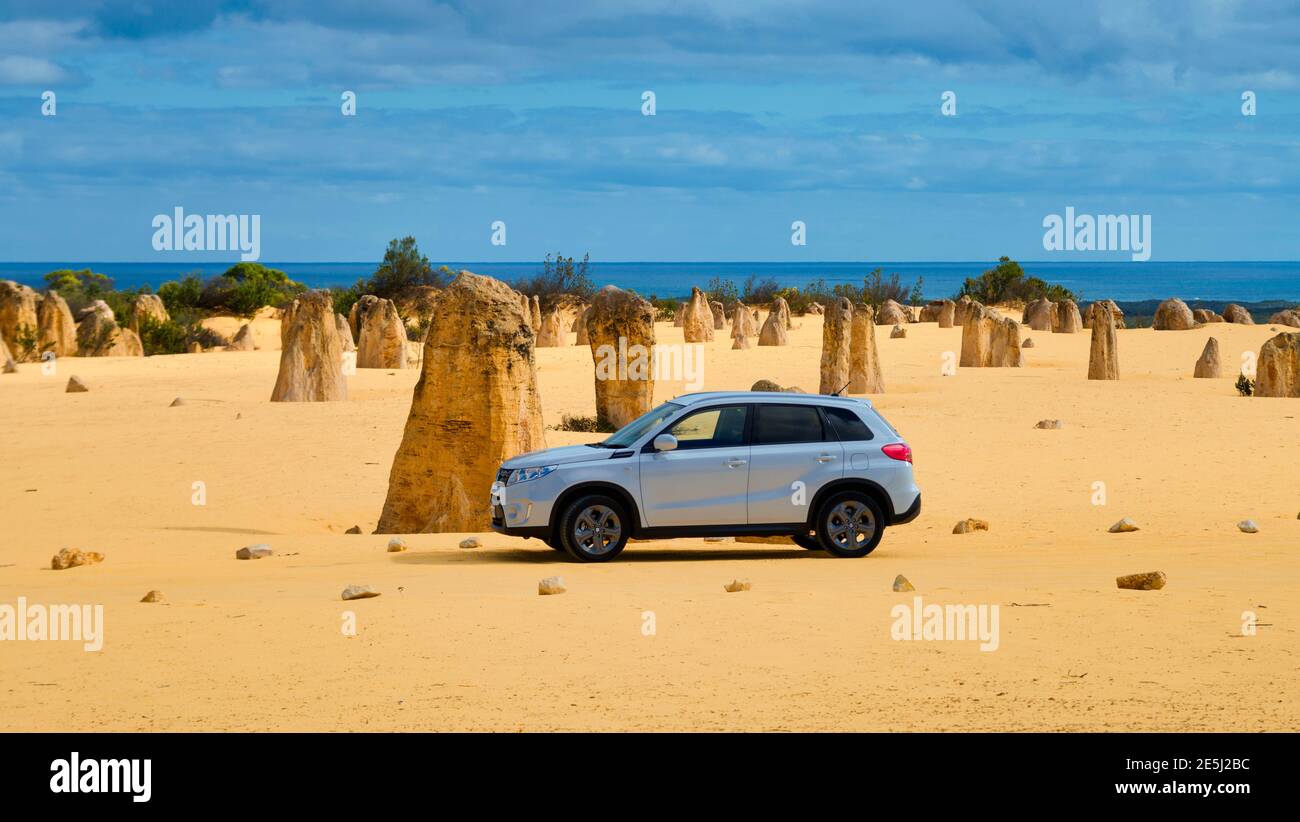 Nuvole scure e bizzar formazioni di pietra nel Deserto Pinnacles, Nambung National Park, Western Australia, Oceania Foto Stock