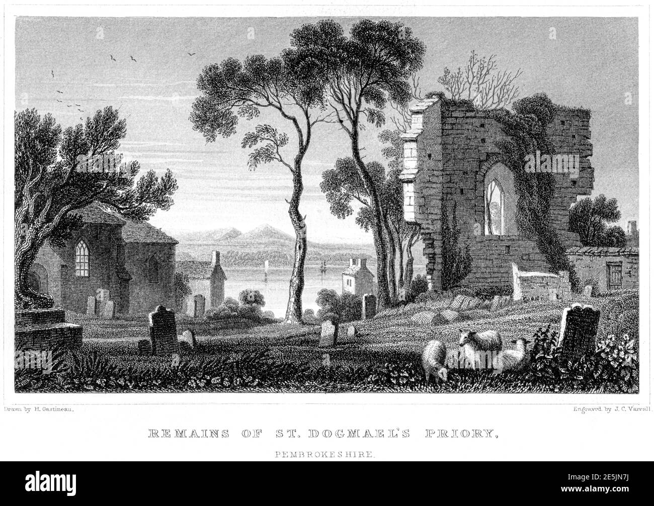 Incisione dei resti del Priorato di San Dogmaels, Pembrokeshire scannerizzato ad alta risoluzione da un libro pubblicato nel 1854. Creduto esente da copyright. Foto Stock