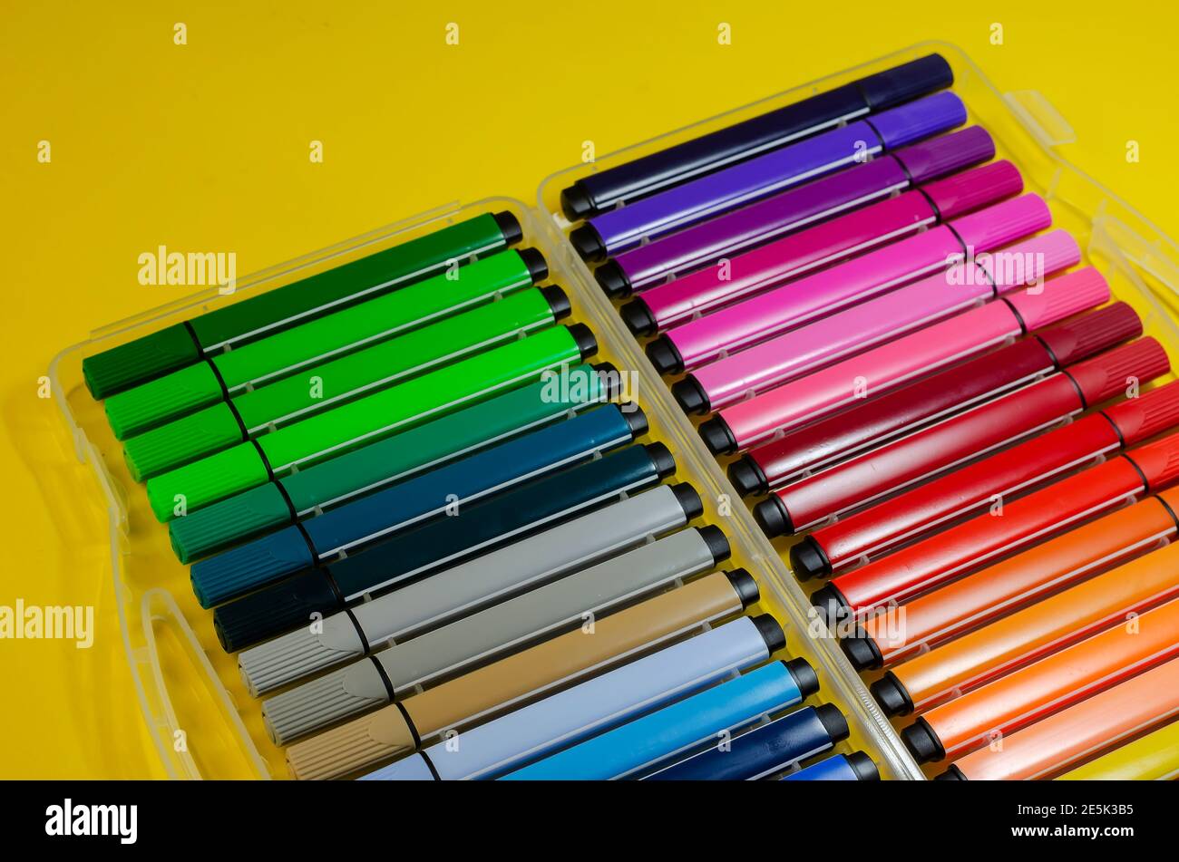 Ampio set di penne colorate con punta in feltro per disegnare su uno sfondo  colorato. Scatola in plastica con pennarelli di diversi colori e sfumature.  Messa a fuoco selettiva Foto stock 