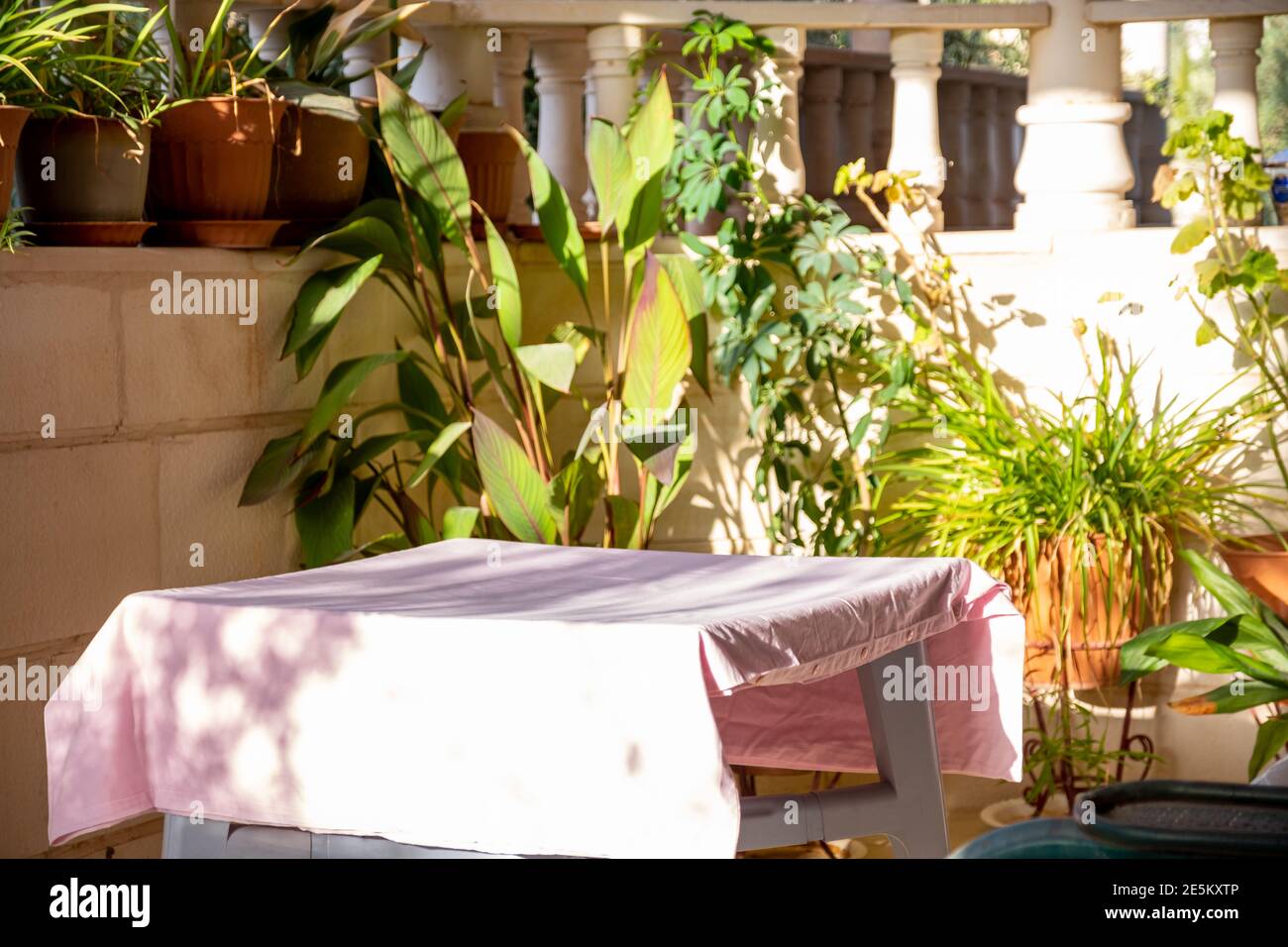 Bellissimo giardino interno con vista confortevole Foto Stock