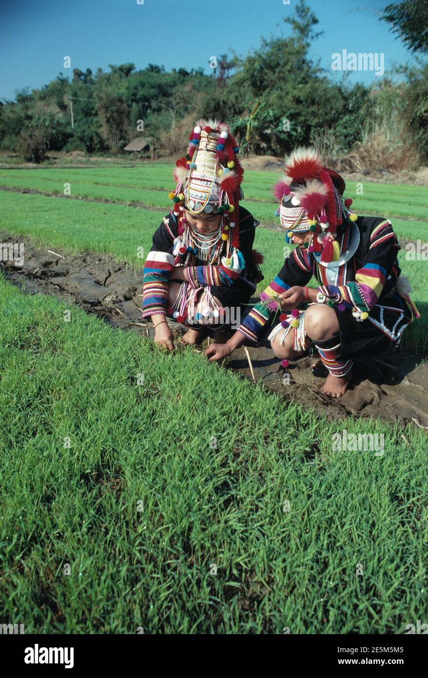 Thailandia. Due Akha hill tribe donne al lavoro nei campi. Foto Stock