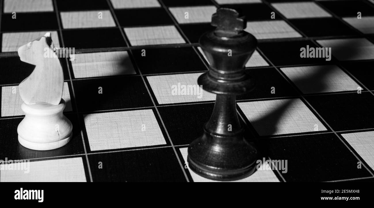 Scacchi scacchiera mono cavaliere bianco vs re nero Foto Stock